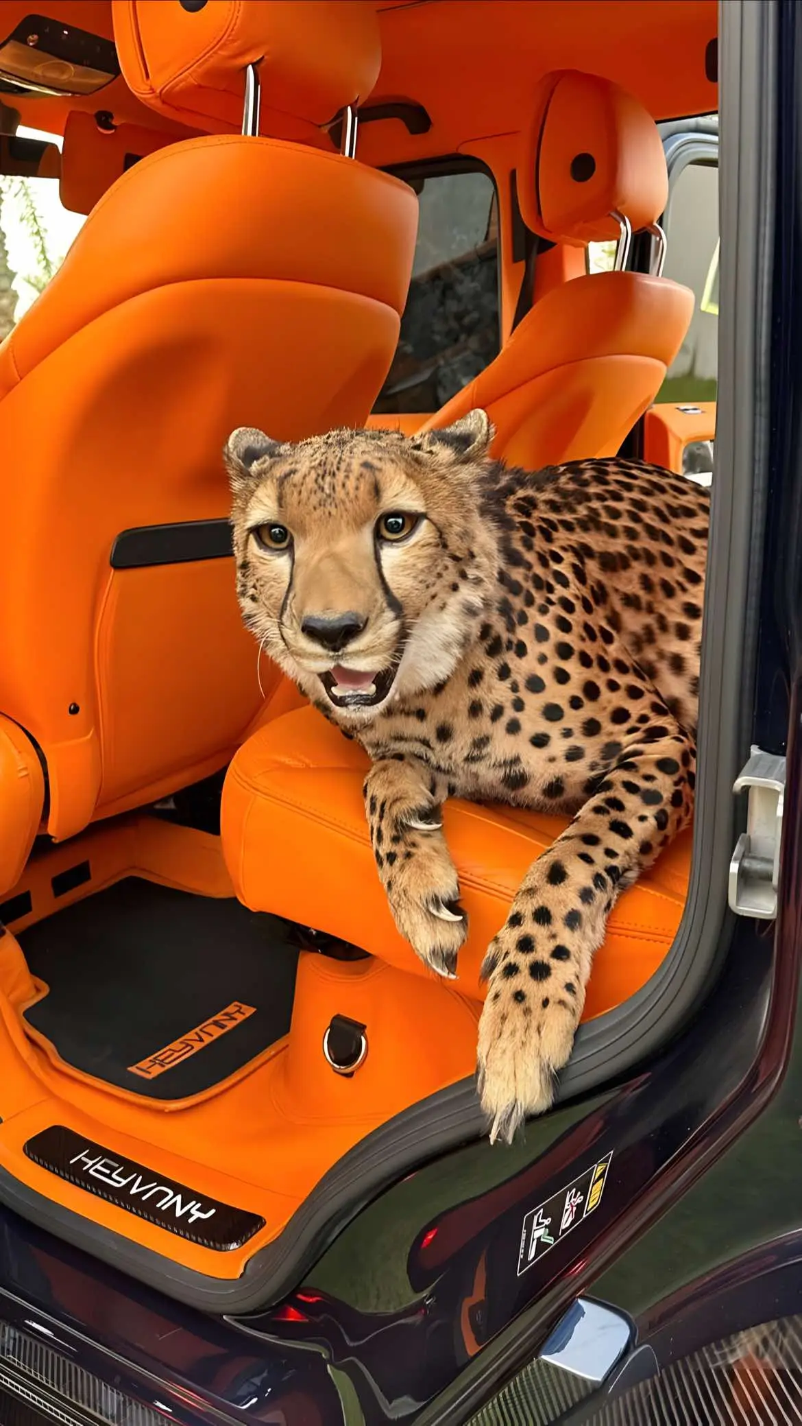 Quality Method in Bio