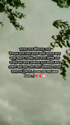মায়ের পরে জীবনের সেরা উপহার হলো বোন-যাকে আমি আমার জন্য  কান্না করতে দেখছি-বোন হলো বিশিষ্ট এক  ডাইরি যার কাছে হাজারো দুঃখ কষ্টের কথা  প্রকাশ করা যায়-বোন মানে আল্লাহর  দেওয়া  রহমতের-টুকরো..(Love you my bear sister..)❤️‍🩹🫀🌸@farin naii😫 @Rakhi Nai @<RA KHU>😫🫶__ @shorabhossain80 @🌷Suraiya aprin💫 @Princess 💞  Aprin ❤️😎 @riya aprin 