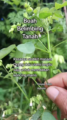 Salam sejahtera #kongsibersama #semuaorang #sahabat #fypシ #foryou 