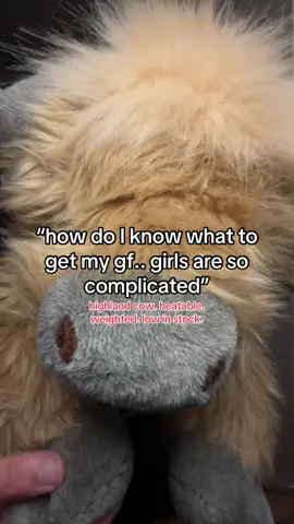Bro doesn’t know the highland cow hack for christmas for there girlfriends #giftsforgirlfriend #highlandcow #weightedstuffedanimal #tiktokshopfalldealsforyoudays #tiktokshopcreatorpicks 