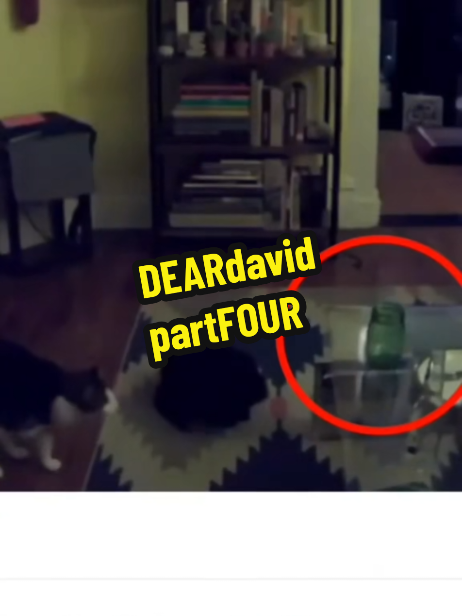 This is where the Dear David story starts getting WEIRD #cats #poltergeist #terrifying 