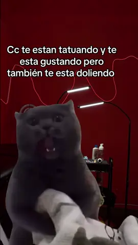 Cc vas viendo como va el tatuaje y te gusta pero ya te anda doliendo #memetattoo #parati #tatuajesentiktok #Meme #MemeCut 