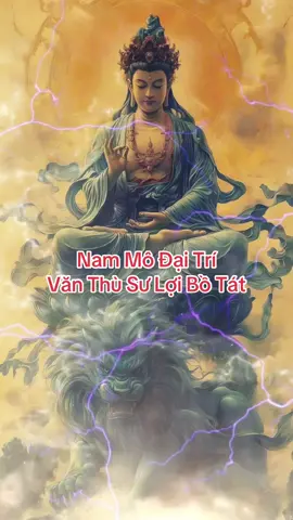 Văn Thù Bồ Tát tượng trưng cho trí tuệ Bát Nhã, là trí tuệ thấy rõ thật tướng của mọi pháp, giúp 👉Phá tan vô minh và tà kiến. 👉Phân biệt chánh tà, thiện ác, đúng sai. 👉Hiểu sâu lời Phật dạy và thực hành đúng pháp. 👉Người học Phật thường niệm danh hiệu Ngài để cầu trí tuệ sáng suốt, học hành giỏi giang, hiểu sâu giáo pháp. #chiase #bieton #xuhuong #vanthusuloibotat #nammoadidaphat 