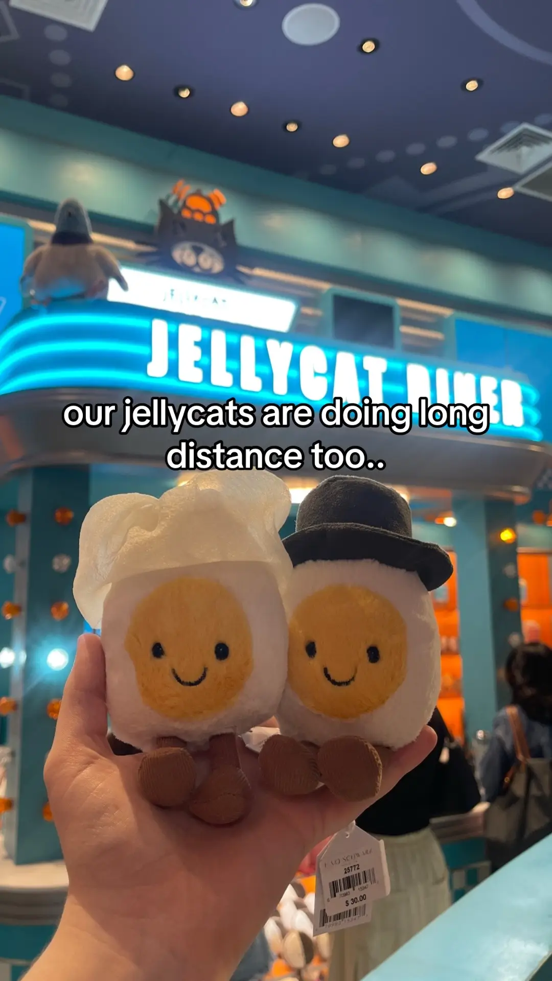 feeling emo bc my fiance flew back this morning but he bought us these cute jellycats while we were in nyc