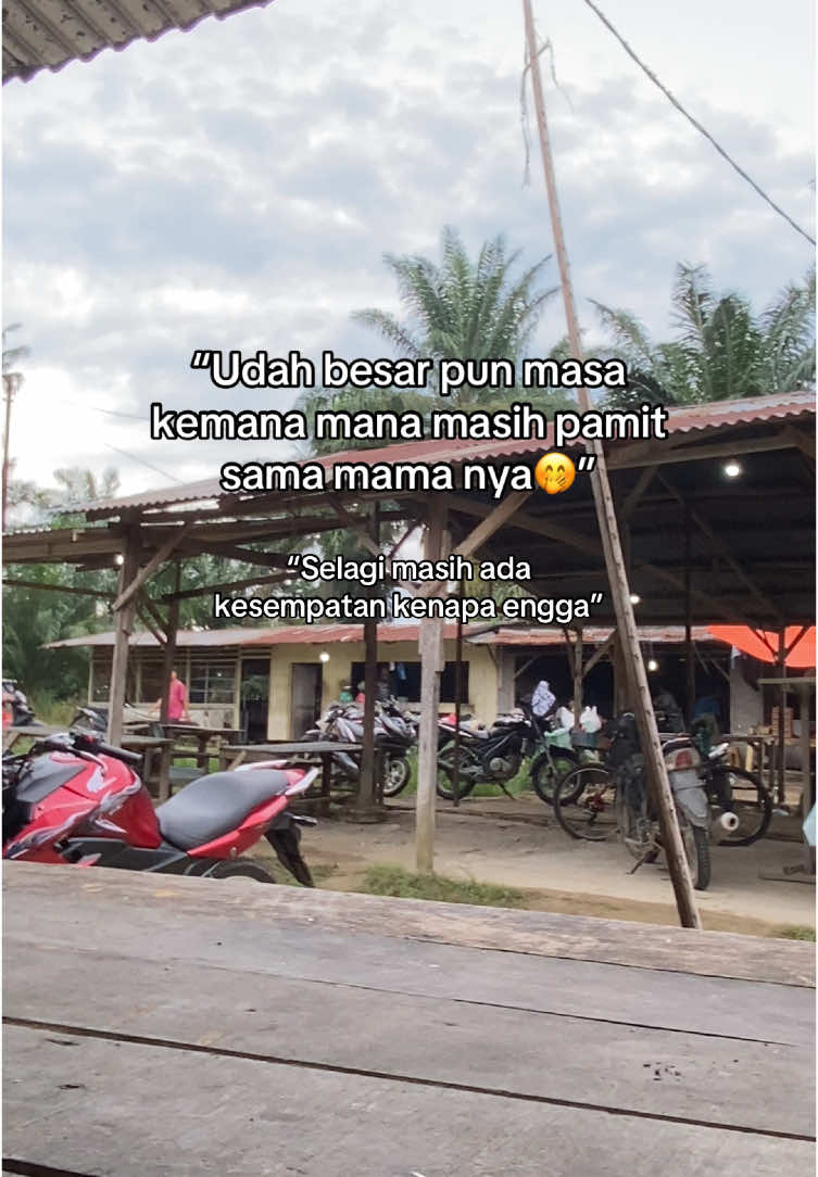Sehat sehat terus mak😊🥺.           #fypage #katakata #fyp #fypシ゚ #masukberanda #mamak #ibu #iloveibu #masukberandafyp #aeksongsongan #viraltiktok 