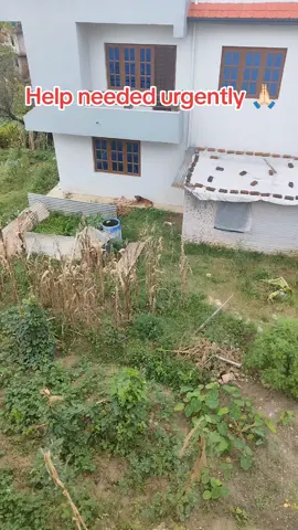 Help needed urgently 🙏🏻#naginaneupane 