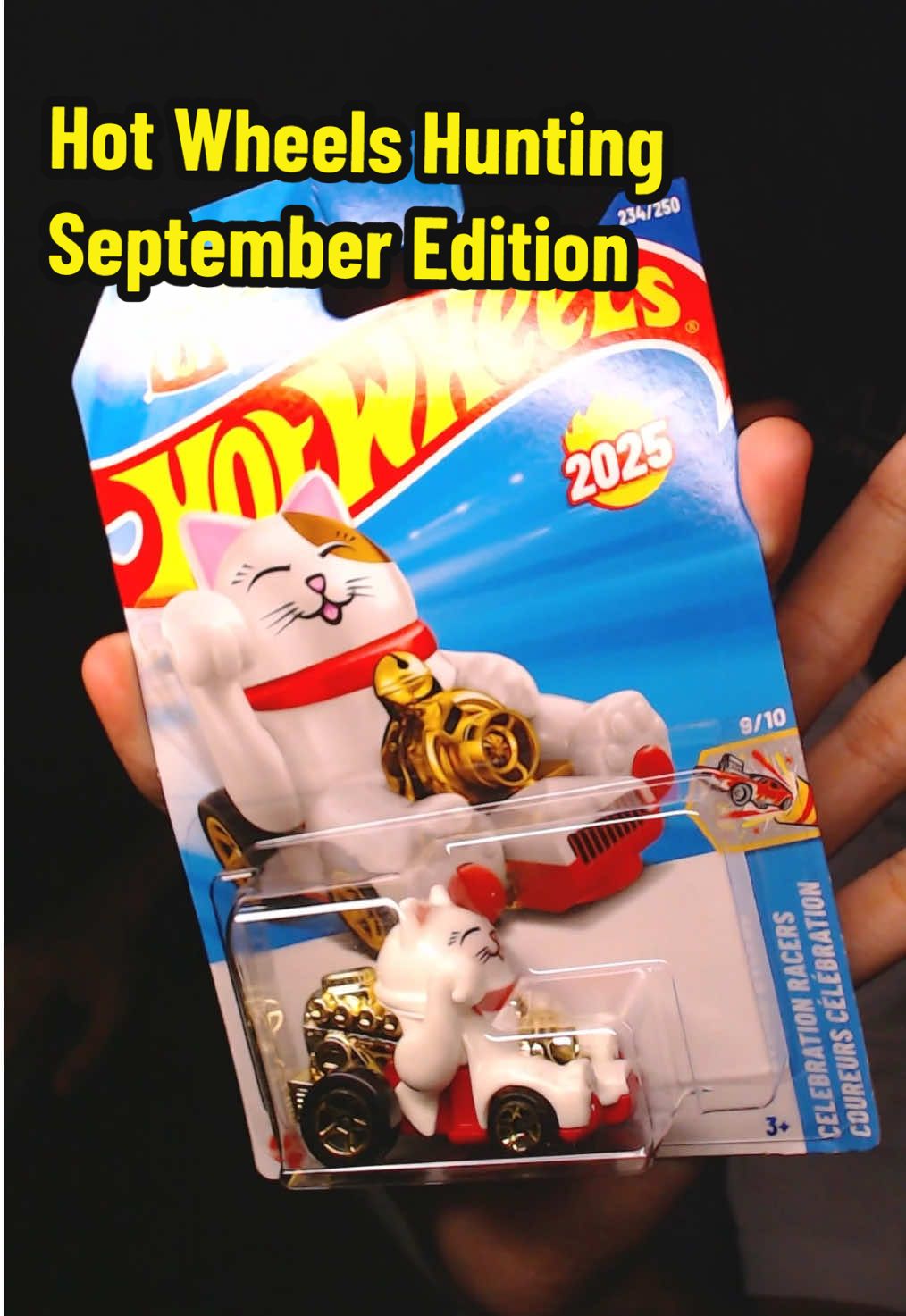 Walang nakuha sa September  #hotwheels #hotwheelscollector #diecast #fyp 