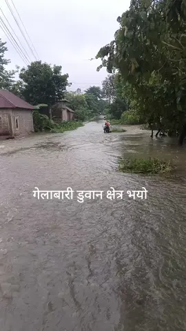 #Like_Cimment_Share #fyp_viral_tiktok #Rea_Hmra_Agga_Ke_Janmal🤞🥰 