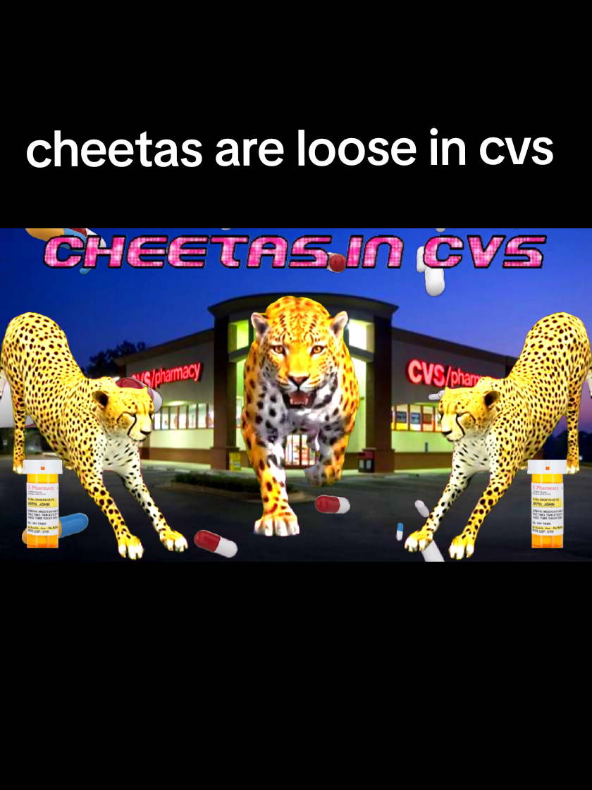 THEY