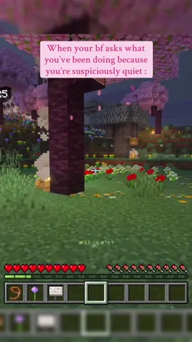 I have pets #Minecraft #mc #girlfriend #minecraftmemes #minecrafter 