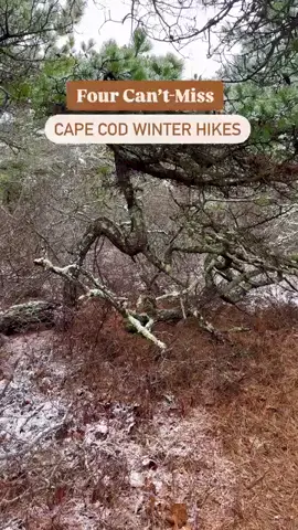 #Dance #Vlog #HipHop #Fitness #Girls #Trending 