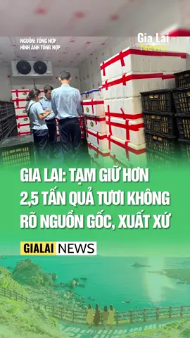 Gia Lai: Tạm giữ hơn 2,5 tấn quả tươi không rõ nguồn gốc, xuất xứ.   #gialainews , #honghotquynhon , #tintucbinhdinh , #tintucgialai , #binhdinh , #gialai 