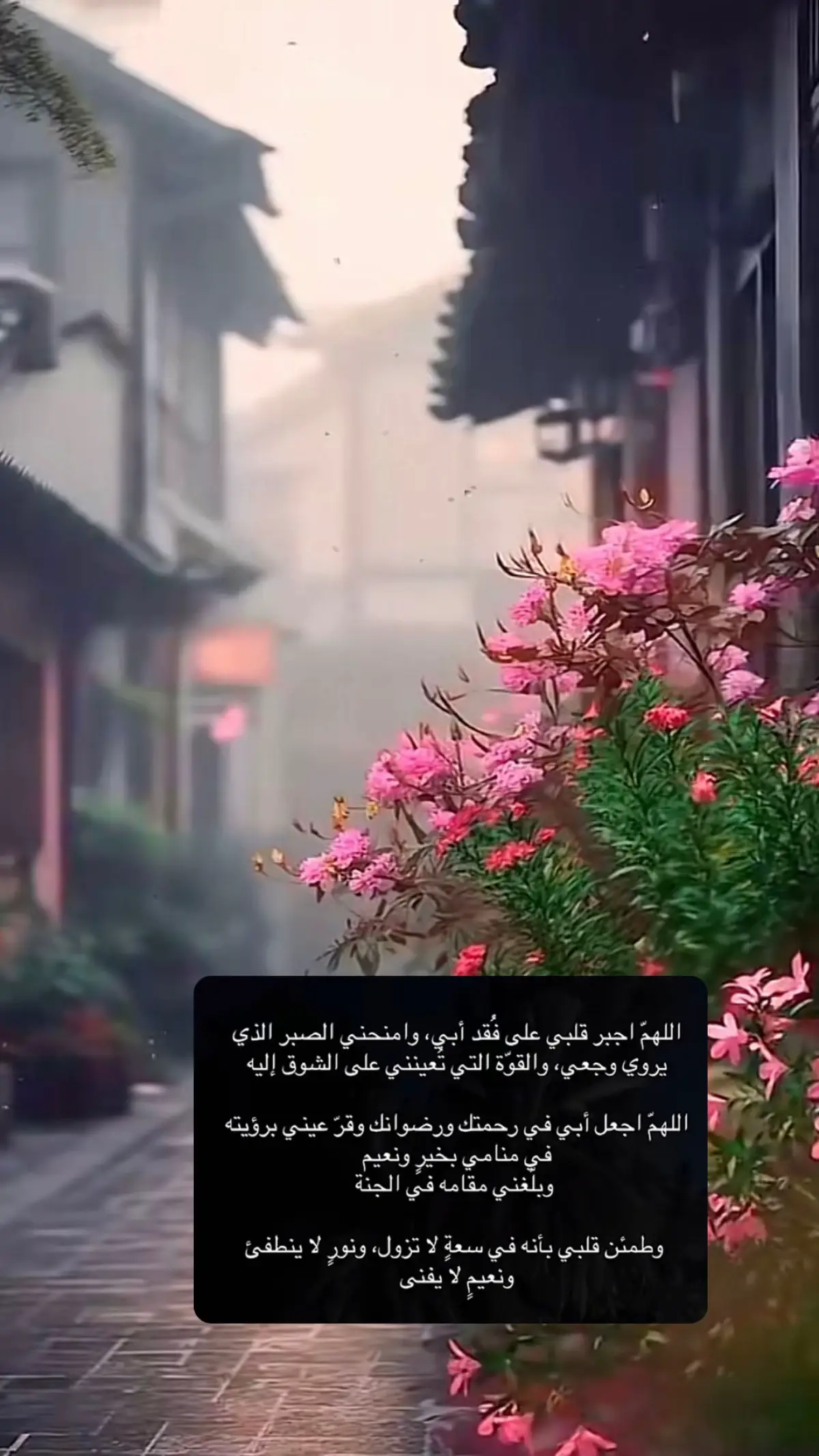 اللهم اجبر قلبي وهوّن حزني اللهم صبرني على فراق فقيدي أبي يارب صبرًا لا يُباعد عن صبر أيوب اللهم ارحم الذي رحل عني ولم يرحل من قلبي اللهم ارحم روحًا اسعدتني يومًا بوجودها والان استوطنت الثرى واجعله من اهل جنتك يارب.