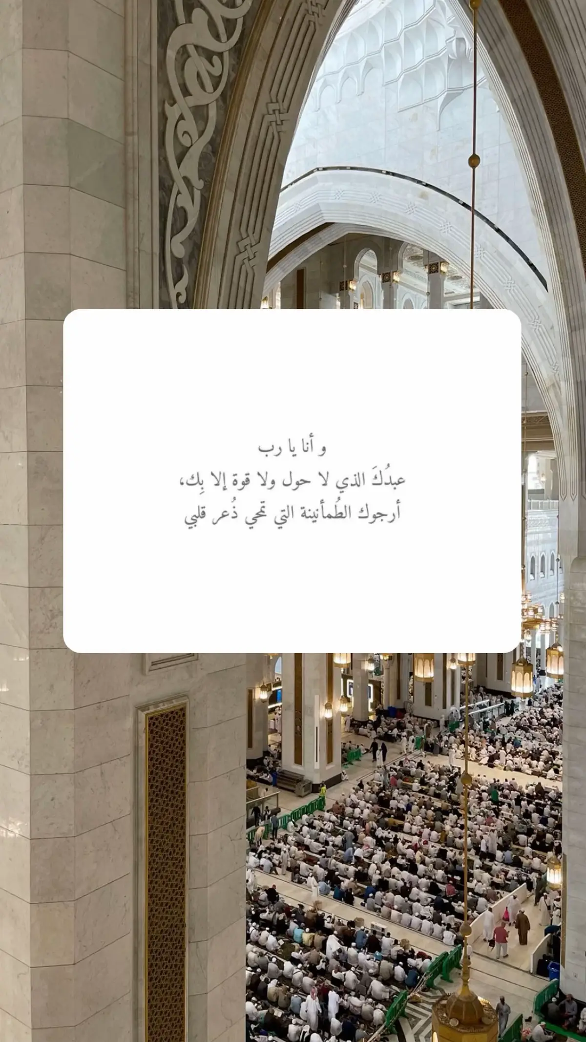 #سعود_الفايز #اكسبلورر #explore 