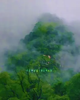 디지털 방랑자 digital wanderer #mmsub #song #fypシ゚ #အရမ်းကြိုက်တဲ့သီချင်းလေး #tiktokmyanmar🇲🇲 