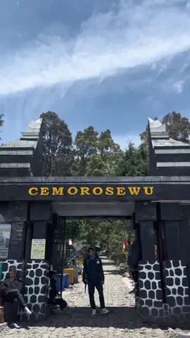Lawu CS landai bgt 🥰 #gununglawu #pendakigunung #pendakiindonesia 