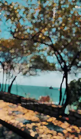 #vungtau ngày nắng đẹp 😍 