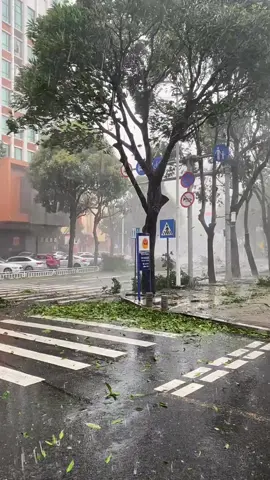 🌀 Bão số 11 sáng sớm nay đã đổi hướng đổ bộ lần 2 vào Trung Quốc ở khu vực Phòng Thành, tỉnh Quảng Tây (lần 1 là ở Lôi Châu).  ⛈️💦Mưa lớn sẽ xuất hiện ở vùng núi và trung du bắc bộ Việt Nam sẽ tập trung vào buổi chiều tối và đêm nay 6/10/2025. #baoso11 #matmo #bão #mưa #xh   