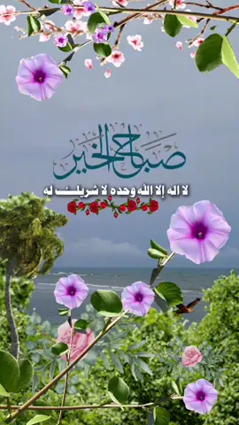 #الله يصبحكم بالخير واليمن والبركات 
