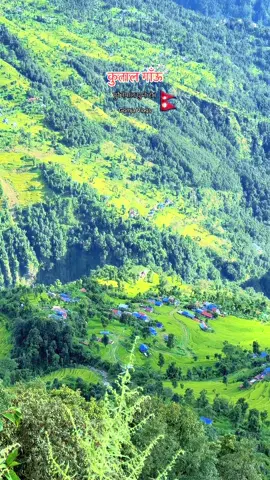 कुताल गाँऊ 🇳🇵❤️ #village #foryoupage #villagelife #nature #trending 