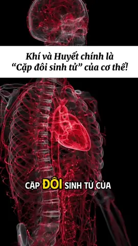 Khí và Huyết chính là “Cặp đôi sinh tử” của cơ thể #xuhuong2025 #thinhhanhtiktok #LearnOnTikTok #yhoccotruyen 