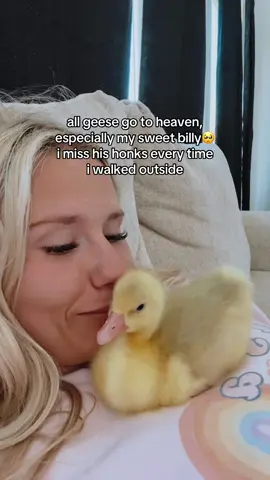 he wouldnt hurt a fly & loved being with his cow brothers in the pasture 🥺 #fyp #relatable #trending 