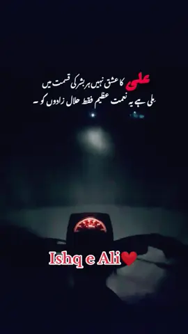 Ishq e Ali💝❤️#islamic_video #foryou#foryoupage #foryoupage #trending #viral #islam #allah #nabi #karbala #foryou #growmyaccount #foryoupageofficiall