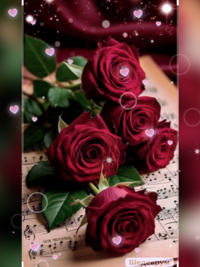 #estas #en #mi ❤️Tú eres todo lo que me faltaba.❤️ Antes de encontrarte, no entendía del todo el amor, ni el sentido de las sonrisas que se quedan en el alma, ni la magia de un abrazo que hace que todo esté bien. Mi mundo estaba incompleto, mis días eran rutinarios y mis noches vacías, hasta que llegaste tú… con tu luz, tu risa, tu forma de ser. De repente todo cambió: cada instante tiene color, cada emoción tiene nombre, cada sueño tiene un destino… y ese destino eres tú. ✨🌹 Amarte me enseñó que lo que antes me faltaba, siempre estuvo esperando encontrarte.  ❤️🪗🥰💜💯😍
