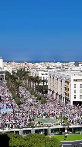 Tens of thousands of Moroccans took to the streets of Rabat & Casablanca, demanding an end to normalization with Israel and showing unwavering solidarity with Gaza. 🇲🇦🇵🇸 Crowds chanted for justice, freedom, and dignity for Palestine a powerful reminder that the Moroccan people stand firmly on the side of humanity. via @mosaabelshamy