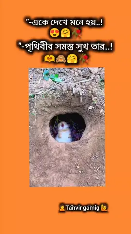 #foryou #🥰🥰🥰🥰 