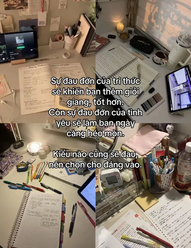 Chọn cho đúng vào#xh #viral #studytok #dongluchoctap #ngoivaobanhocdi09 