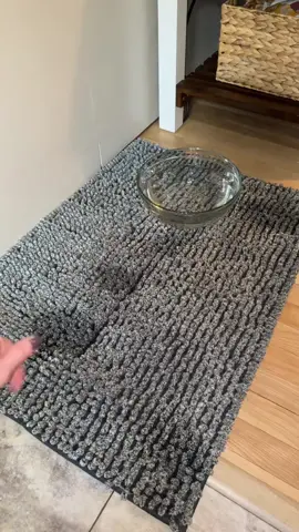 These super absorbent mats from Lesure Pet are great by the front door or under your dogs water bowl! 