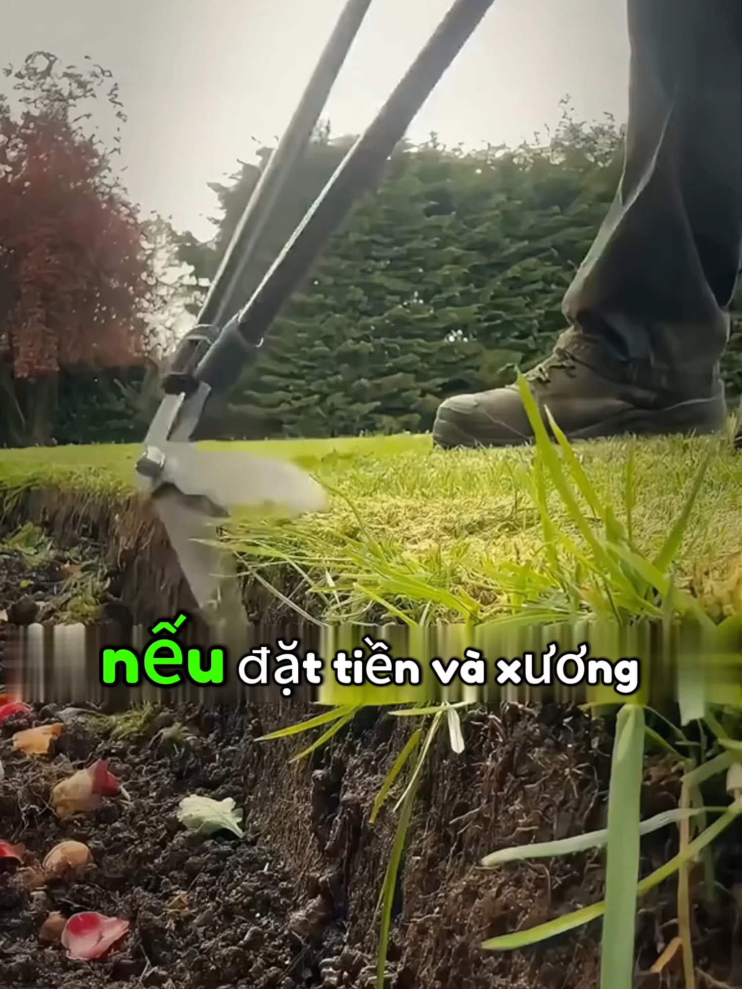 Nếu là bạn thì sao?