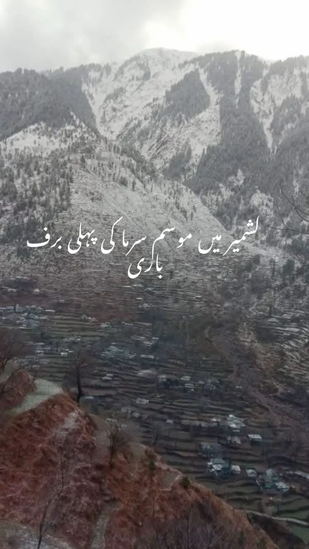 میرا کشمیر 