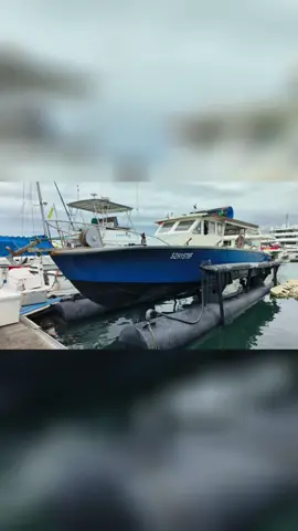 Boat for Sale! Keen in 40 ft fiber glass boat with toilet! Reasonable price!  Ideal for Fishing and Diving. DM me for details #hashboatfishing #fyppppppppppppppppppppppp #boating #CapCut #fishtok 