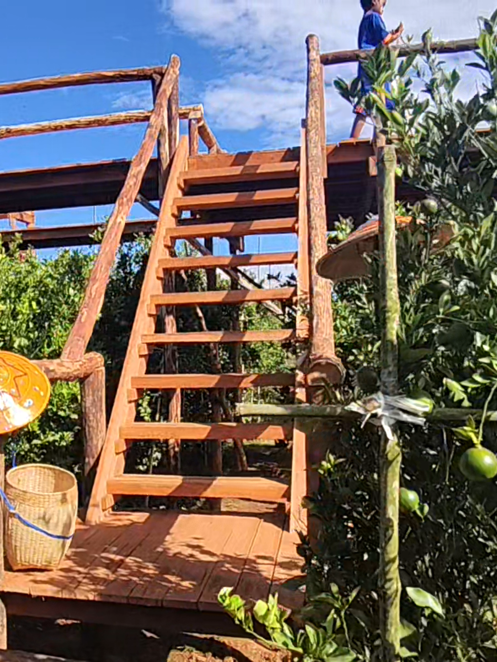 ရွာပြန်ရောက်တုန်း မြင်းမထိလိမ္မော်ခြံ စဖွင့်ပါပြိနော် #ဒီတစ်နှစ်တော့ရှယ်လုပ်ထား‌ပေးတယ်နော် လာလည်သူတွေ့အတွက်😊😊#မြင်းမထိလိမ္မော်ခြံ #မြင်ပါများပြီးချစ်ကျွမ်းဝင်အောင်လို့😜🤗 #fypပေါ်ရောက်စမ်း #views 