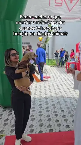 Loki não gostou de receber a benção 😂🐶🙏🏻 #diadosaofrancisco #cachorro #mordida #catolicos #dogsofttiktok 