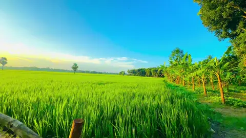 Sesh Kanna with ME |Use headphones for better sound quality I kmon hoiyace Video tahh? #sinamtic #cinematic #cinematic_video #vairal_video #fyp #song #sesh_kanna #foryou #sesh_kanna#sinamtic #cinematic #sinamtic 