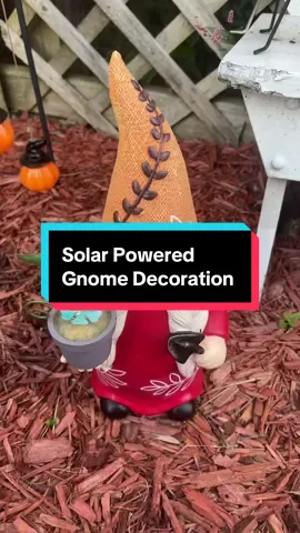 Perfect Yard Decoration!! #solarpowered #gnomedecor #outdoordecor #outdoorlighting #fyp