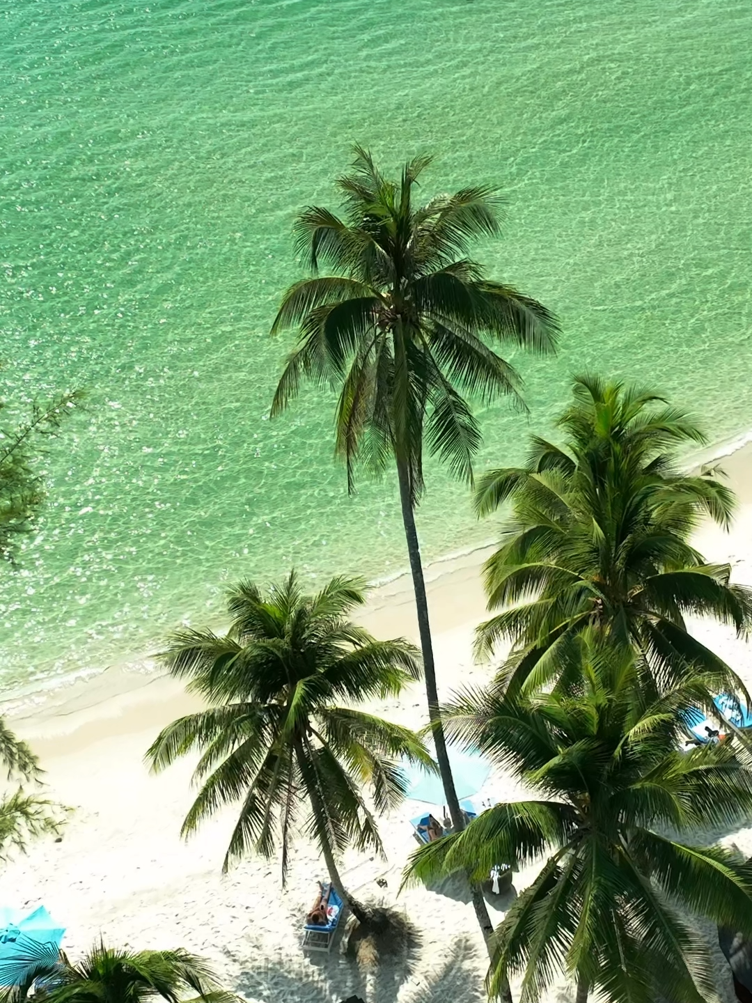 កោះរុង 🌴⛱🏝 ឋានសួគ៌ដែលយើងអាចទៅដល់ 🥰🥰  កក់សំបុត្រតាម BookMeBus ឥឡូវនេះទទួលបានការបញ្ចុះតម្លៃរហូតដល់ $5 ជាមួយប្រូម៉ូកូដ New2BookMe 🗺🚌 #BookMeBus#kohrong#trip#Cambodia