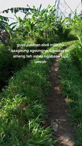 aamiin🤲