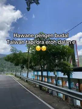 info dalan jeroo💃🏼