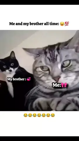 nice funny video😅#funny 