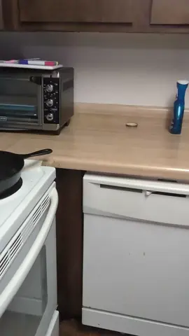 blehhh I'm kinda tired and cookin but I got a post still so y'all get some random bloopers of me talking into the camera and being gay asf :3 have a good one! #femboy #thighs #cooking #fyp #chatting 