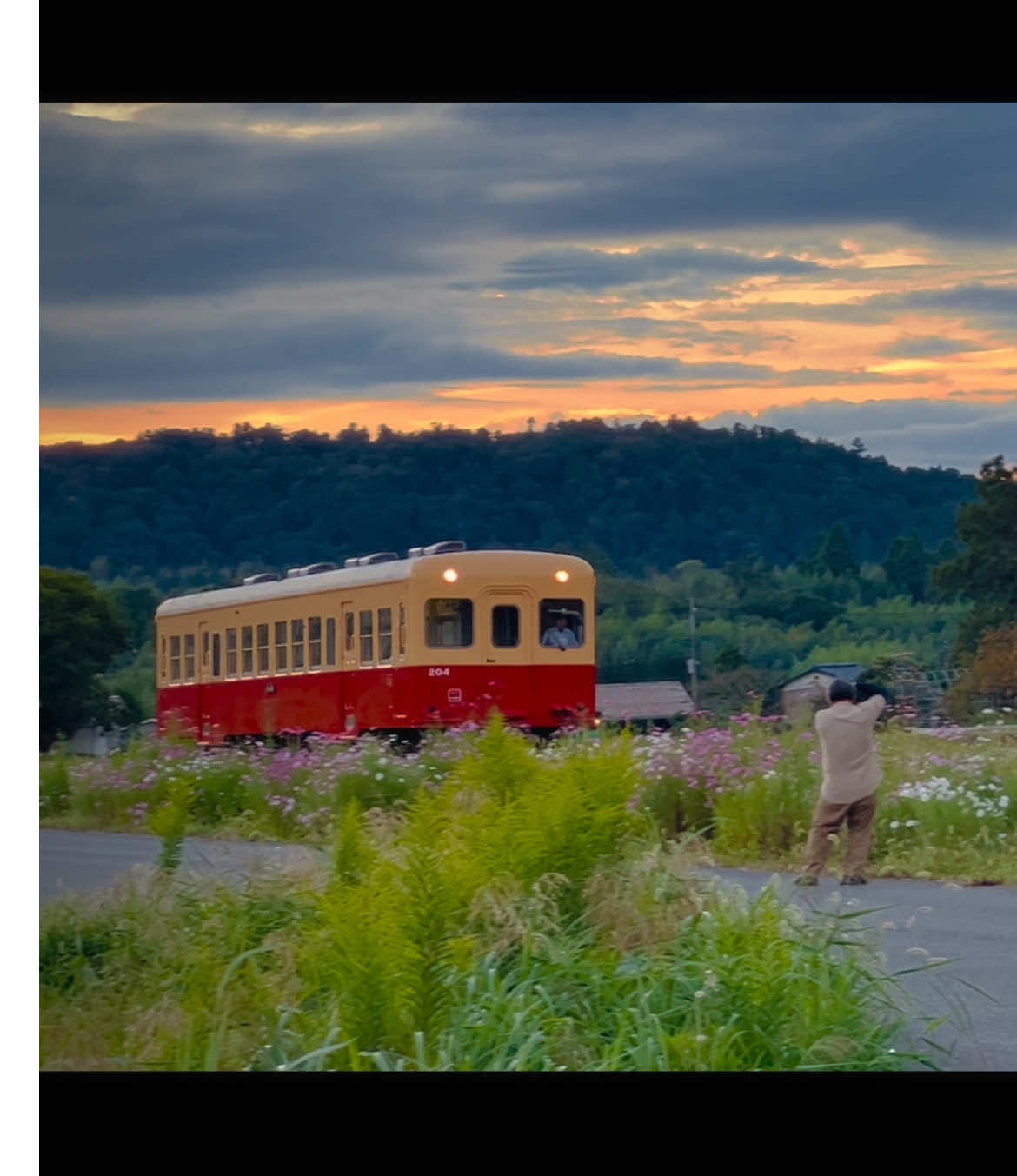 Chuyến tàu hoàng hôn 🌅 #nhatban #千葉 