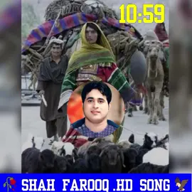 @👻shahfarooq💫  #foryoupage #foryoupage #viralvideo #viralvideo #viralvideo 