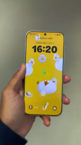 Honor Magic 8 - Màu xanh quá đẹp, viền màn mỏng, cụm cam aimage... có đáng để nâng cấp không ae? #honor 