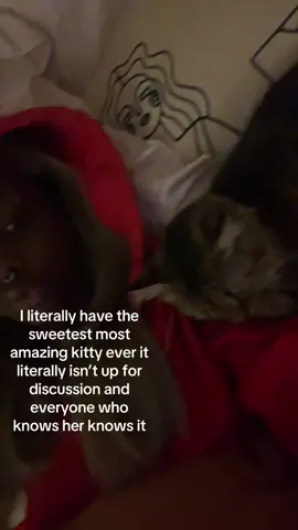 everyone says she looks and acts like me and I think they’re right! #cat #wlw #chicago #fyp 