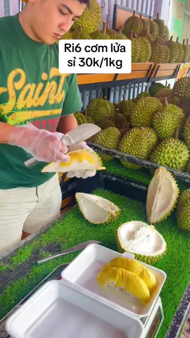 ri6 cơm lửa sỉ 30k/1kg đi đơn trên 30kg #sầu #sầuriêng #sầuriêngri6 @(Trái Cây Vùng Miền) @Thành trung 