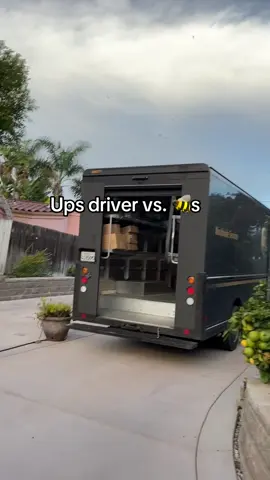 I was just tryna deliver heavy packages they tryna do a 20 vs 1 🐝🐝💥 #upsdriver #bees #delivery #deliveryheroes #beeswarm 